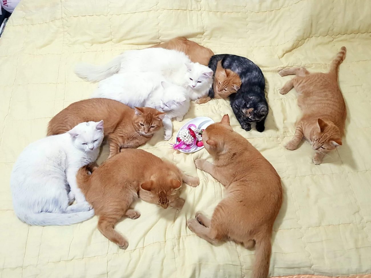 สุขสันต์วันพ่อกันทุกท่านครับ ขอให้มีความสุขมาก ๆ ครับ 1