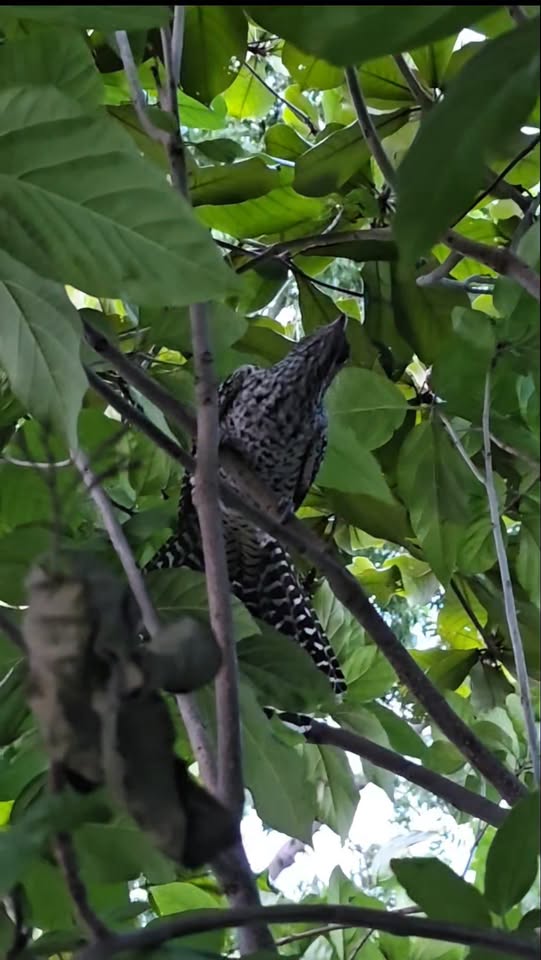 u0e40u0e21u0e37u0e48u0e2du0e0au0e48u0e27u0e07u0e40u0e22u0e47u0e19u 1