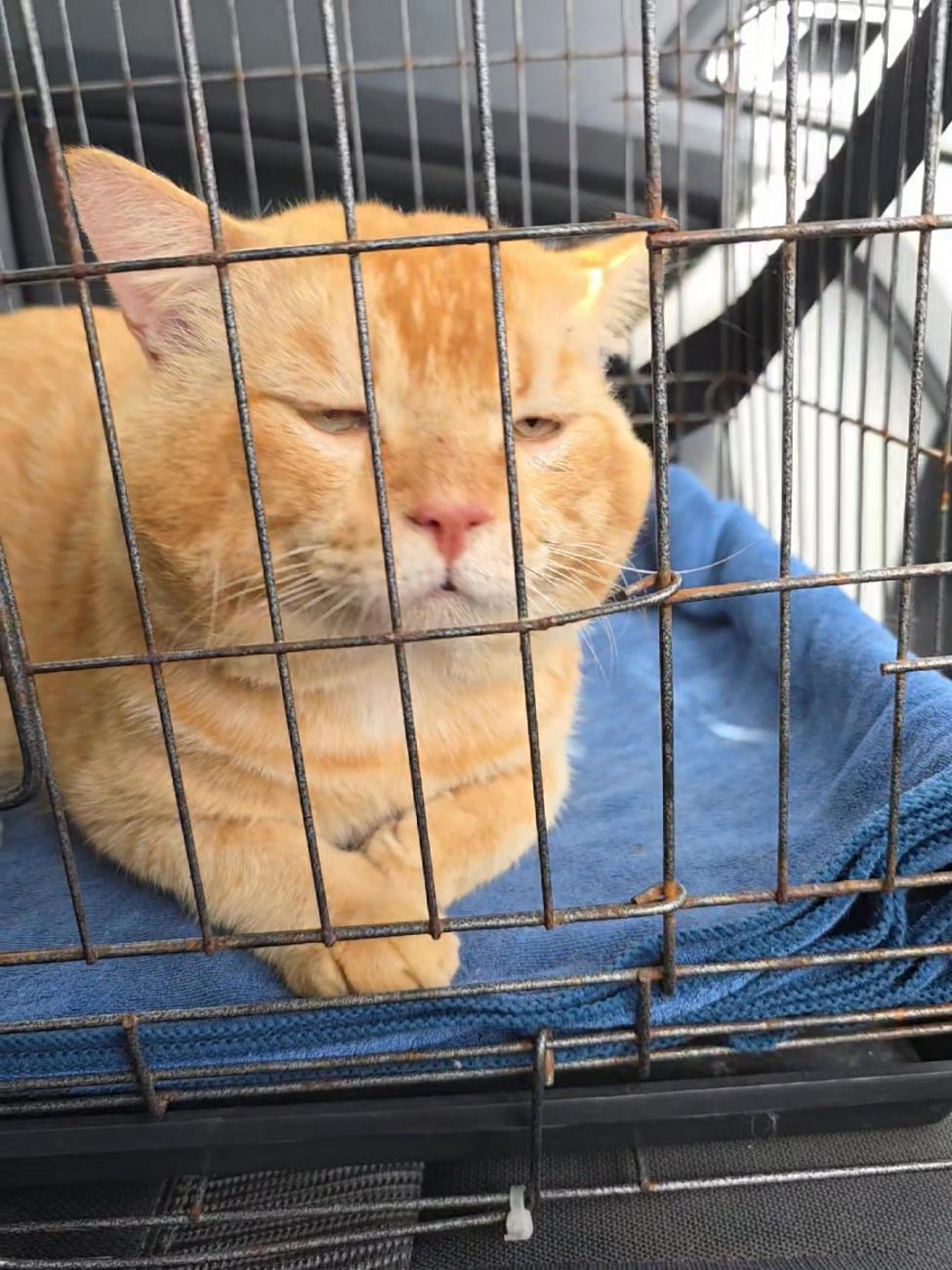 พ่อพาไปเที่ยวนะเด็ก ๆ ทำหน้าดีใจกันหน่อยสิ! 1