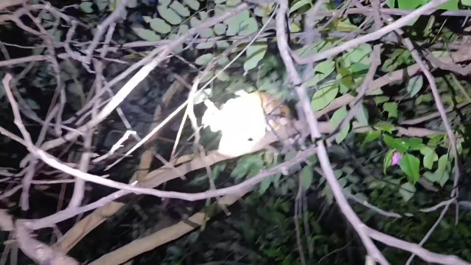 กำลังจะชมว่าปรับปรุงตัวเอง สรุปก็แสบเหมือนเดิม ยัยดาวแดนหกยังทำตัวเป็นสายลับยามค 1