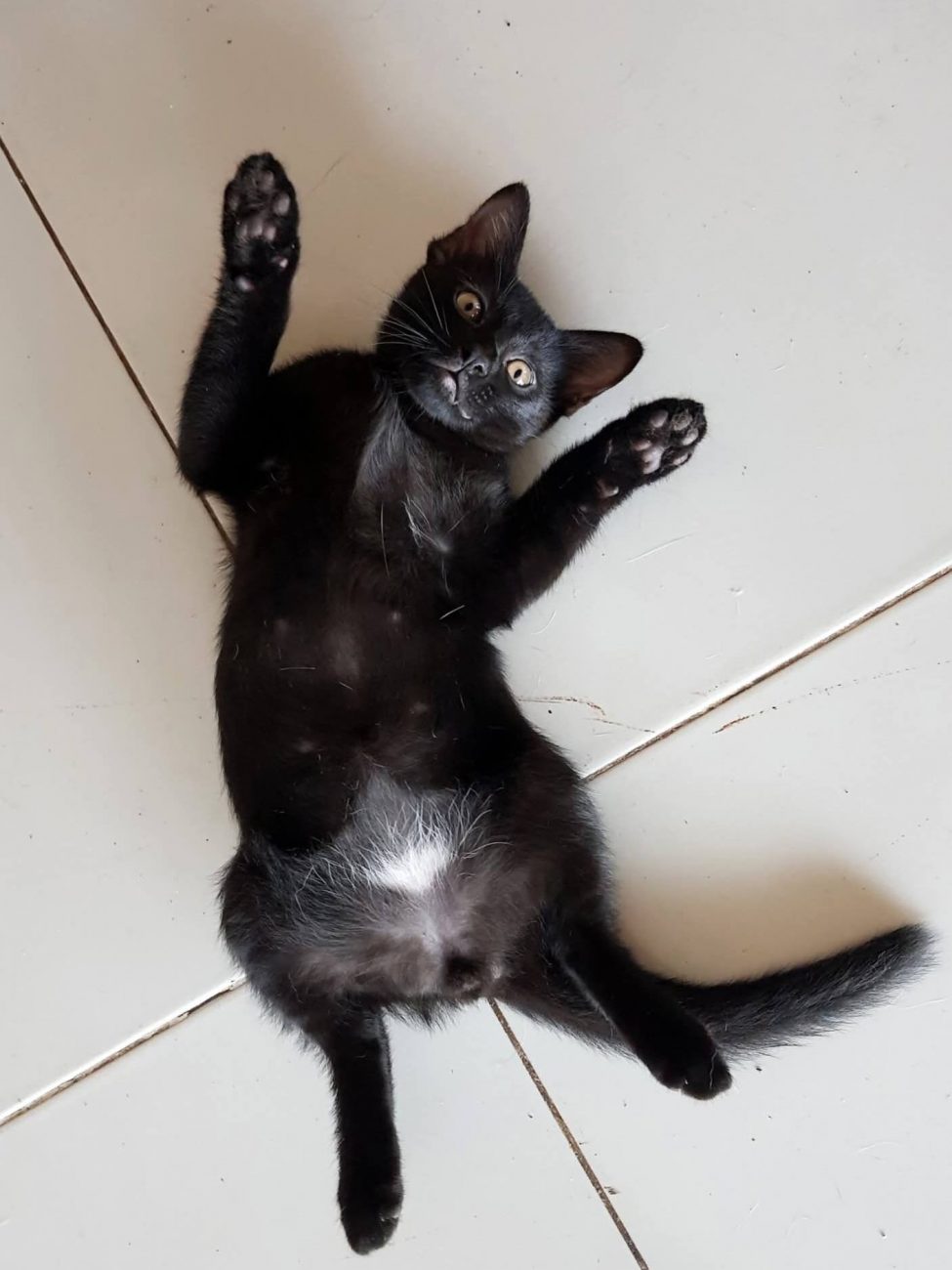 มีแฟน ๆ สงสัยว่า #ดำรง นอนท่านี้ โดนบังคับจับถ่ายสร้างคอนเทนต์หรือเปล่า คำตอบคือ 1