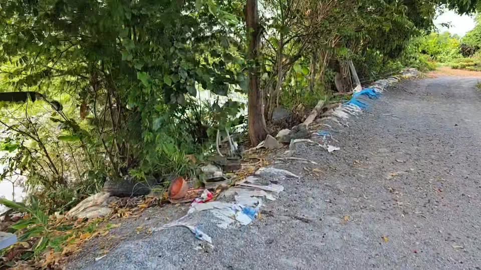 บ่ายสามแล้ว บ้านช่องไม่ยอมเข้า อยากเป็นแมวจรมากใช่ไหมยัยมัจฉาดารา! 1