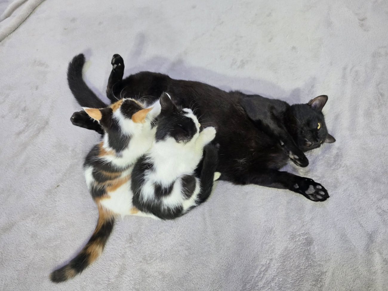 แม่รงลดา: "เลือกดูดนมแม่ตามสบายนะลูก ข้างซ้ายรสเอสเปรสโซ ข้างขวาคาปูชิโน แต่ตรงก 1