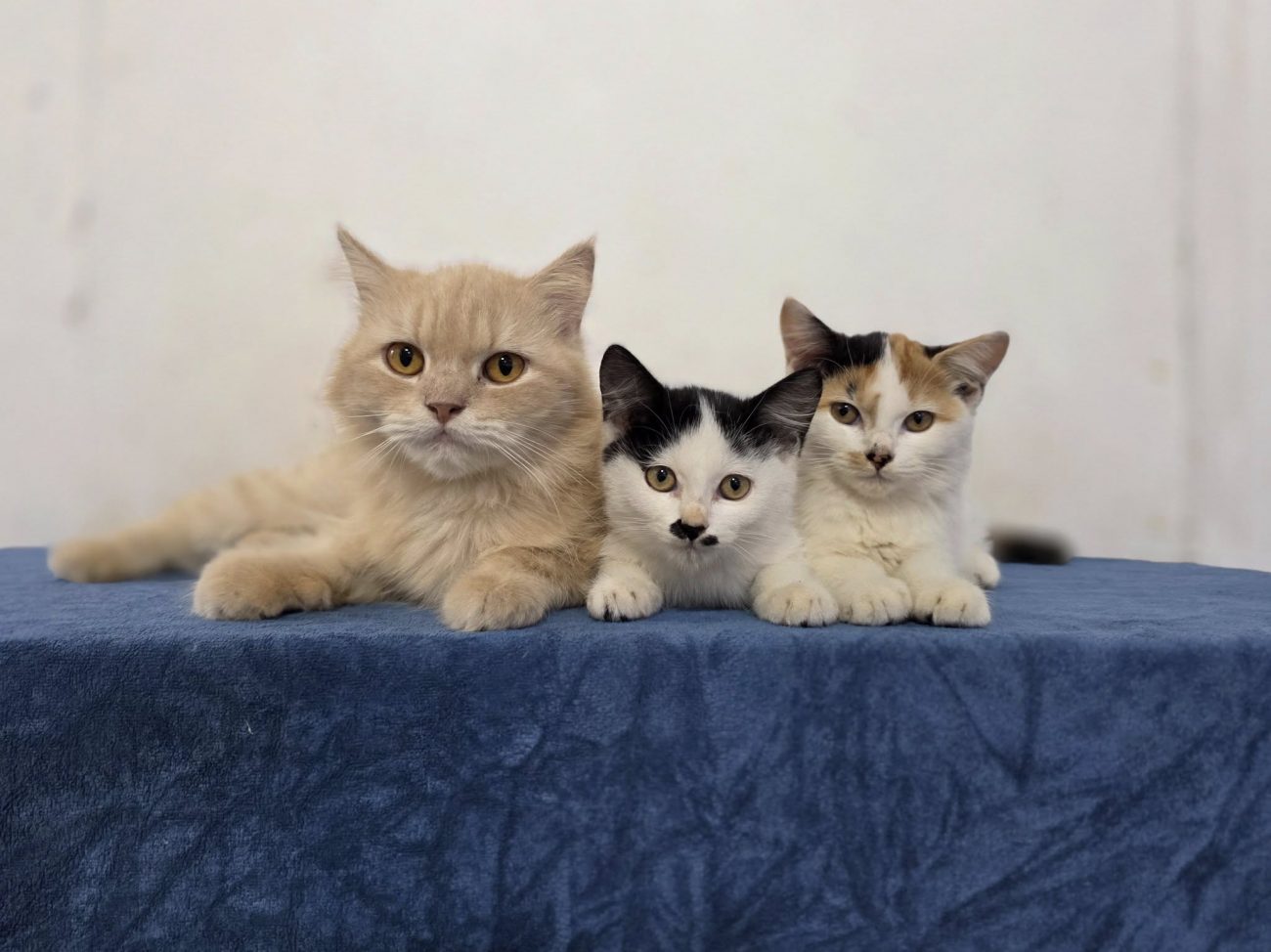 แจ้งชื่อเด็กใหม่ครับ 1