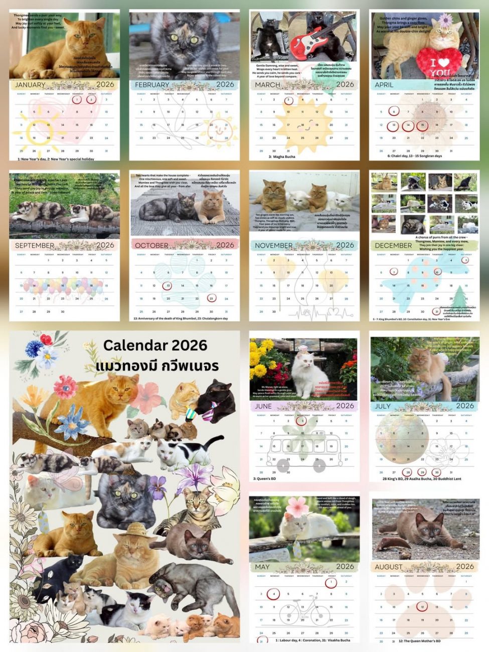 เหลือ 3 วันสุดท้ายแล้ว! สั่งปฏิทินกันนะครับ ช่วยเหลือแมวกว่า 50 ชีวิตให้มีค่าหมอ 1