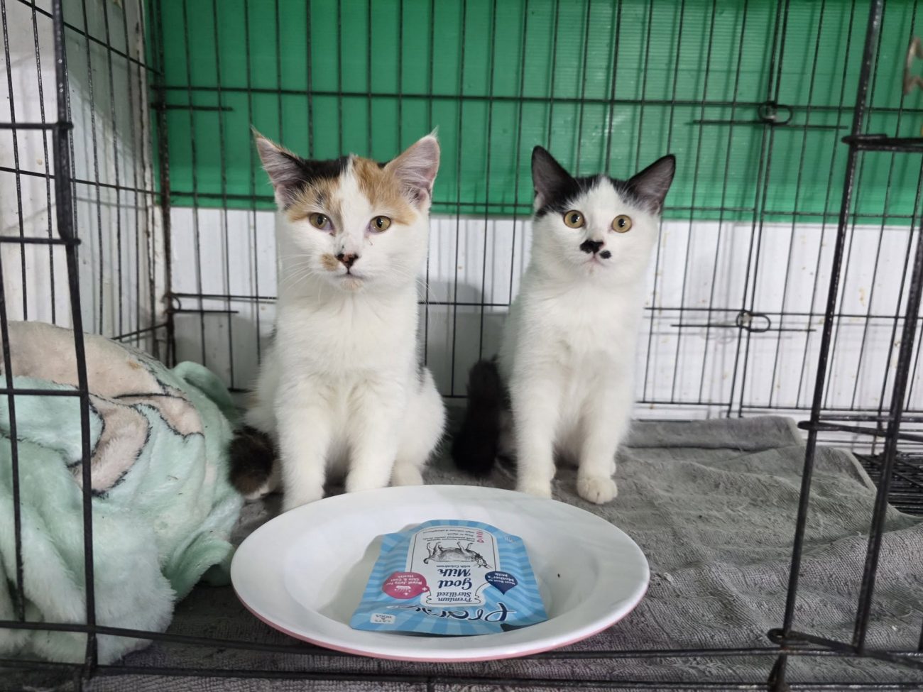 กุ้งนาง: "พวกเราอุตส่าห์รับจ้างเฝ้าบ้านให้ทั้งวัน ถ้าพ่อจะจ่ายเป็นนมแค่ซองเดียวก 1