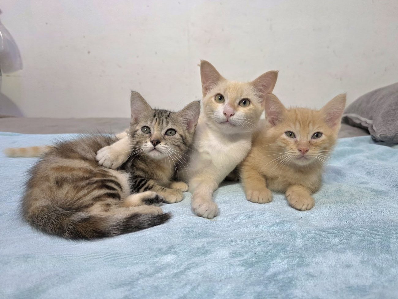 วันนี้พาเด็กสามมะไปทำวัคซีนครับ 1